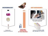 Figure 1: Sourcing novel enzymes through metagenomics. Directly isolating genomic DNA from microbes present in environmental samples with metagenomics, we can now tap 99% of microbial diversity for novel enzyme discovery. (Image courtesy of libragen) 