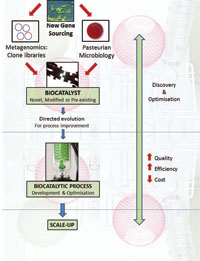 Figure 2: The perfect process. Creating an optimised biocatalytic process begins with the enzyme, be it novel, modified or pre-existing. Following process optimisation to ensure maximum efficiency and quality, the entire process is then scaled up for industrial application. (Image courtesy of libragen)   