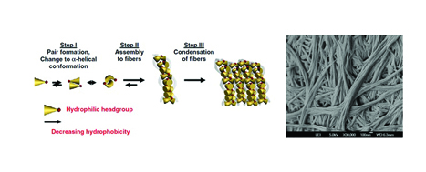 Figure 1 web