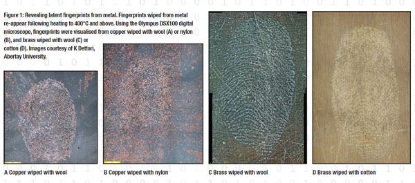 Inserted Image Figure1