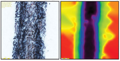 Inserted Image Figure3