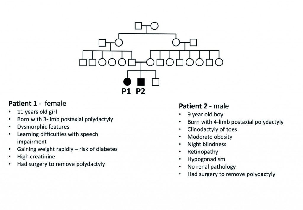 Consanguineous family (husband and wife are first cousins) with two affected siblings that have different clinical symptoms typical of BBS.