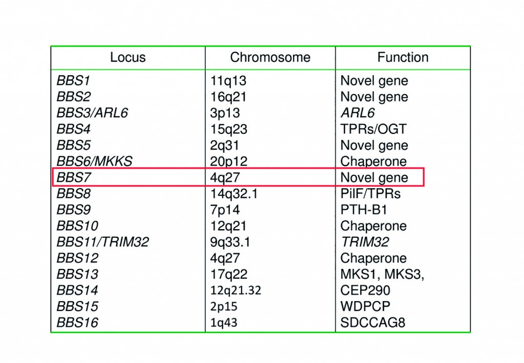 List of genes with potential mutations generated from current data analysis software. Further investigation is needed to see if BBS7's mutation is disease causing.