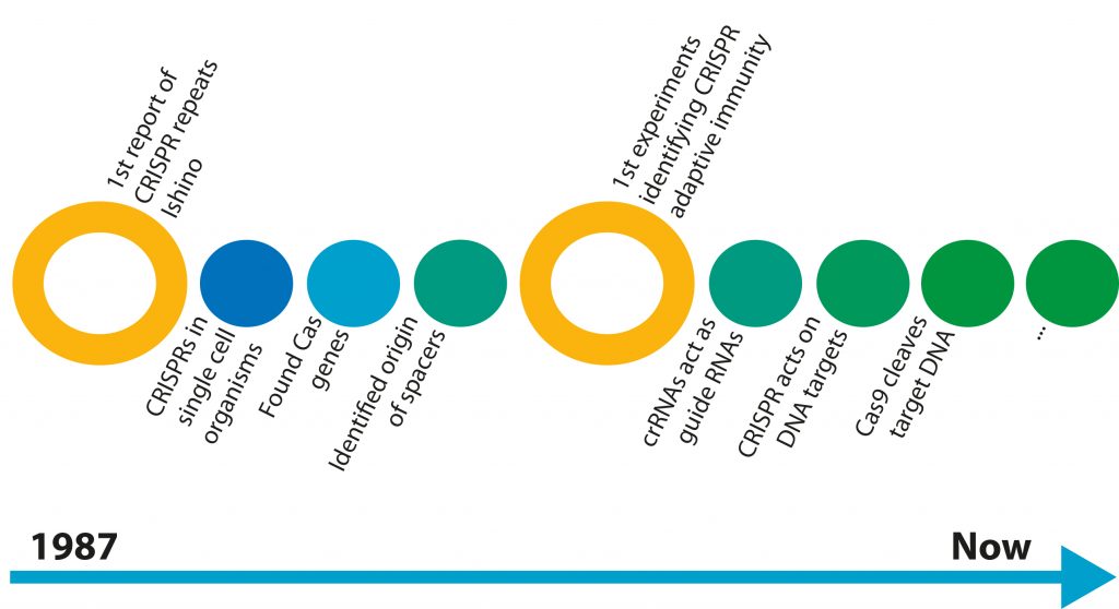 Figure 1: The elucidation of CRISPR and Cas9.