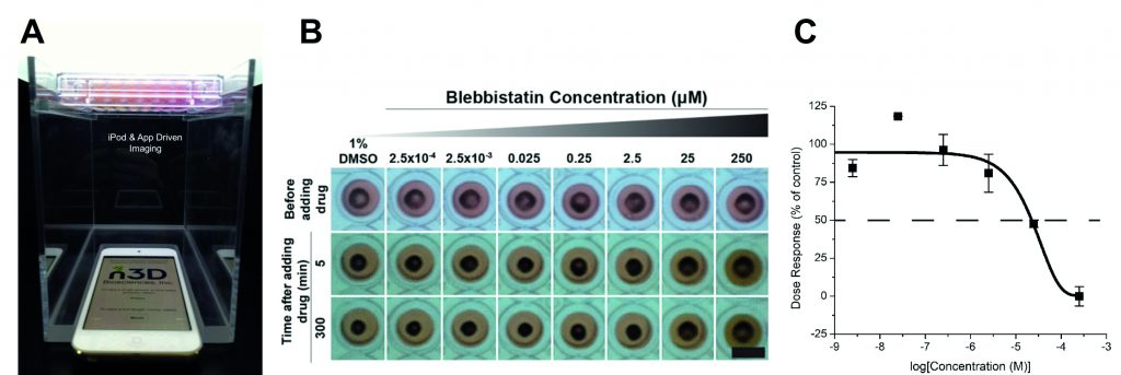 Figure 2: (A) The mobile device-based imaging system,7–9 with magnetically 3D bioprinted cells placed above the mobile device, which can be set to image the entire plate at programmed intervals as short as 1?s. (B) Magnetically 3D bioprinted rings of vascular smooth muscle taken with the mobile device-based imaging system with varying concentrations of vasodialating compound blebbistatin; rings exposed to higher compound concentrations are unable to contract as fast as control; scale bar is 5?mm.8 (C) Representative dose-response curve of measurements shown in (B)7–9.