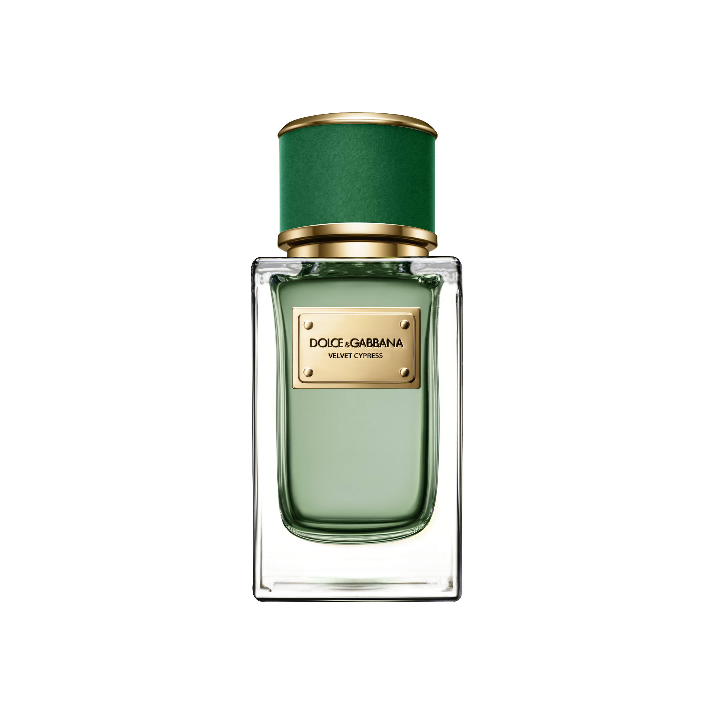 dolce gabbana velvet cypress