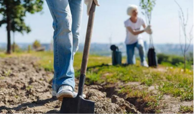 Origins' TR team joins pledge to help re-green the planet - Vimarsana News