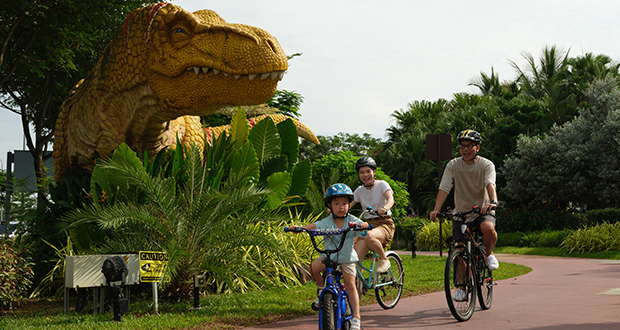 Changi launches free bicycle rental for layover passengers - Vimarsana News