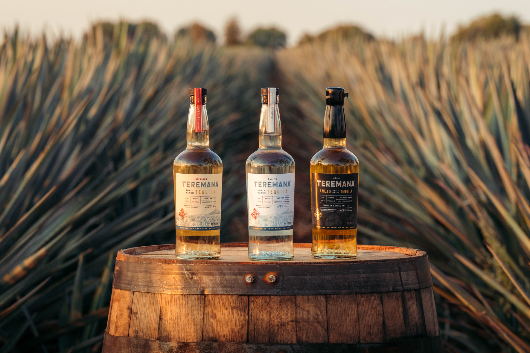 Mast Jägermeister adds Teremana Tequila and Gin Sul to GTR portfolio - Vimarsana News