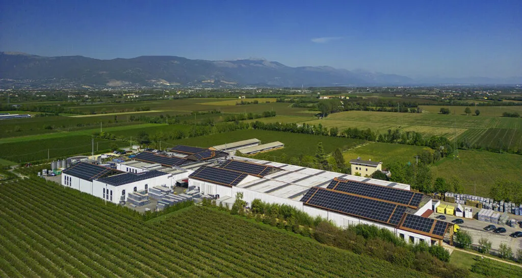 ‘A breath for the planet’: Bottega announces start of Bottega Forest