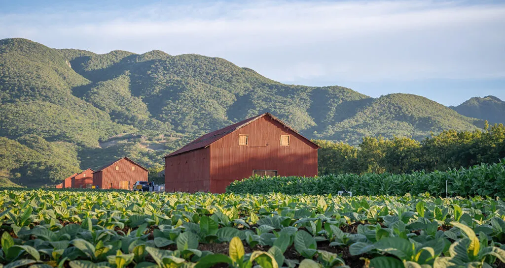 On Location: Blending culture, quality and passion